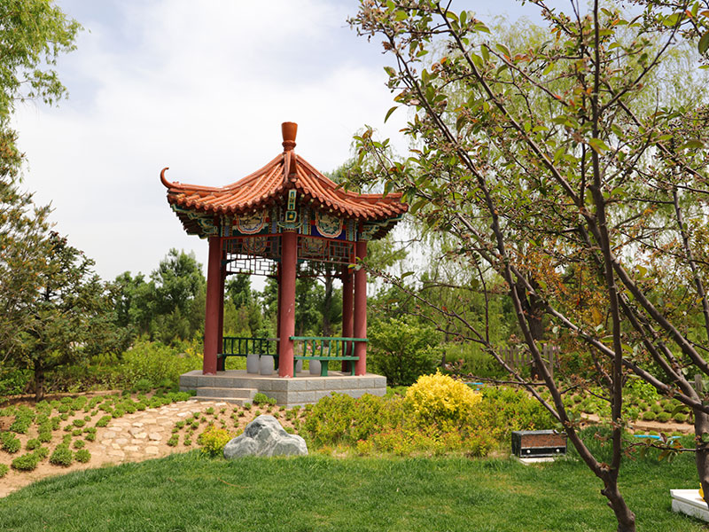 中华永久陵园客服发的陵园景观图