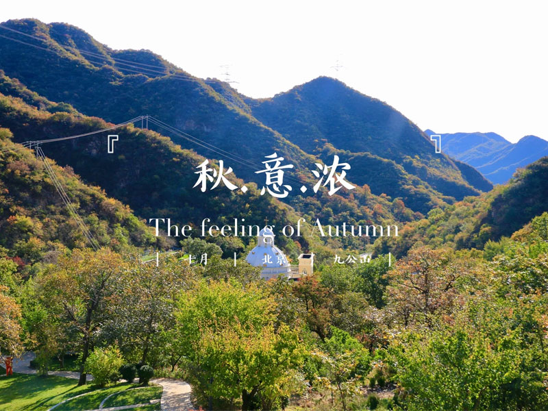 九公山的秋天