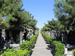 北京朝阳陵园最新墓地价格是多少？