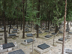 北京市哪里有树葬公墓？一般需要多少钱？