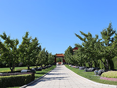 北京合法树葬陵园有哪些？