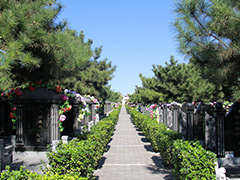 北京朝阳陵园2021年最新墓地价格是多少？
