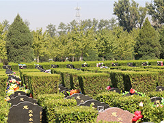 北京长青园陵园地址在哪？属于哪个街道？