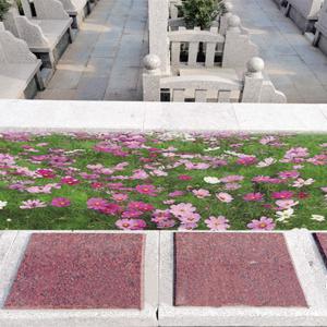 天福园花坛葬