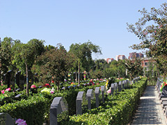北京市朝阳区有哪些公墓？