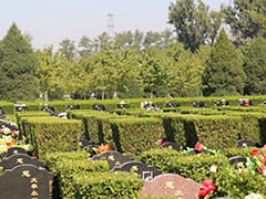北京市朝阳区长青园一块墓地多少钱？