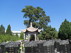 北京朝阳公墓目前开放吗？