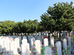 北京密云有多少家陵园墓地？有可供参考的价格表吗？
