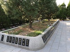 北京市丰台区有哪些树葬墓地？丰台区树葬墓地价格多少钱？