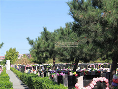 北京墓地到期后怎样续费？朝阳陵园墓地到期续费标准怎么续费？