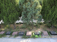 北京市丰台区有几家树葬墓地？在丰台买一个树葬墓地价格多少？