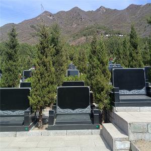 景仰园树葬03