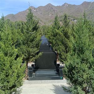 景仰园树葬04