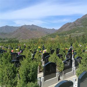 景仰园树葬06