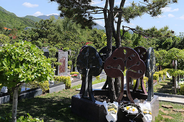 天寿陵园树葬什么价位？在天寿陵园买个树葬墓地价格要多少？