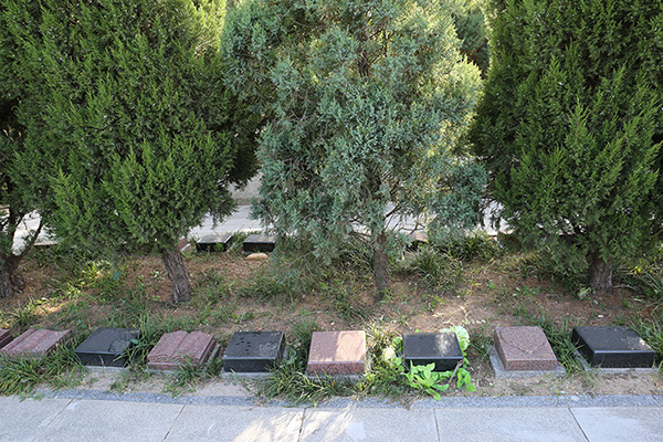 北京丰台区太子峪公墓的树葬价格多少？太子峪陵园树葬价格表