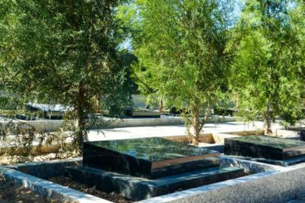 中华永久陵园树葬分单穴和双穴吗？树葬价格分别是多少？