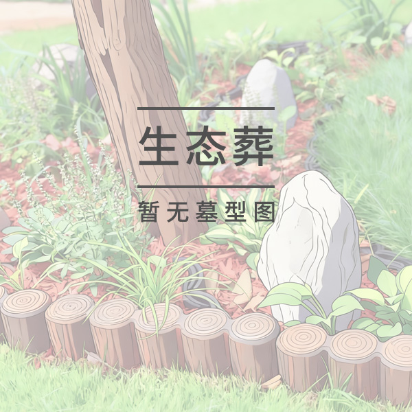 蜂巢葬墓位(无墓位)