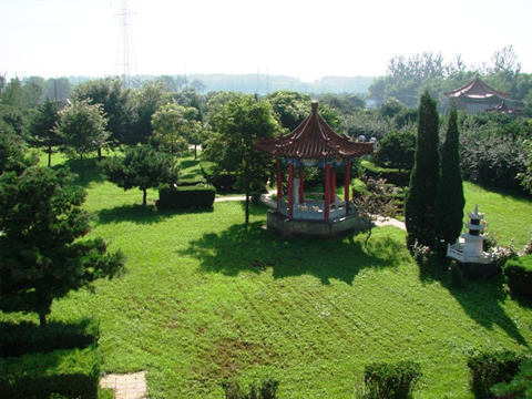 北京市朝阳陵园夏日景色-1