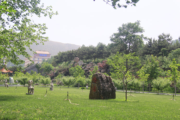 灵山宝塔陵园园区绿化