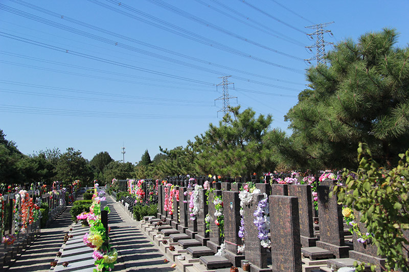 朝阳陵园现代立碑墓区