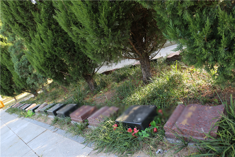 太子峪陵园树葬碑型