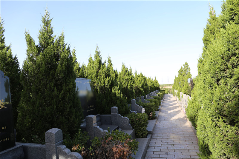 太子峪陵园墓区环境