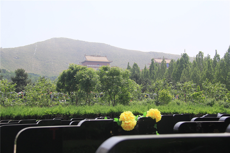 灵山宝塔公墓墓区景观