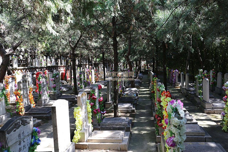 温泉墓园墓区环境