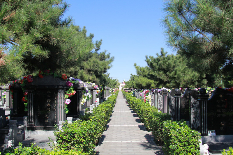 朝阳陵园墓区景观