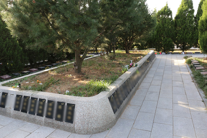 太子峪陵园树葬