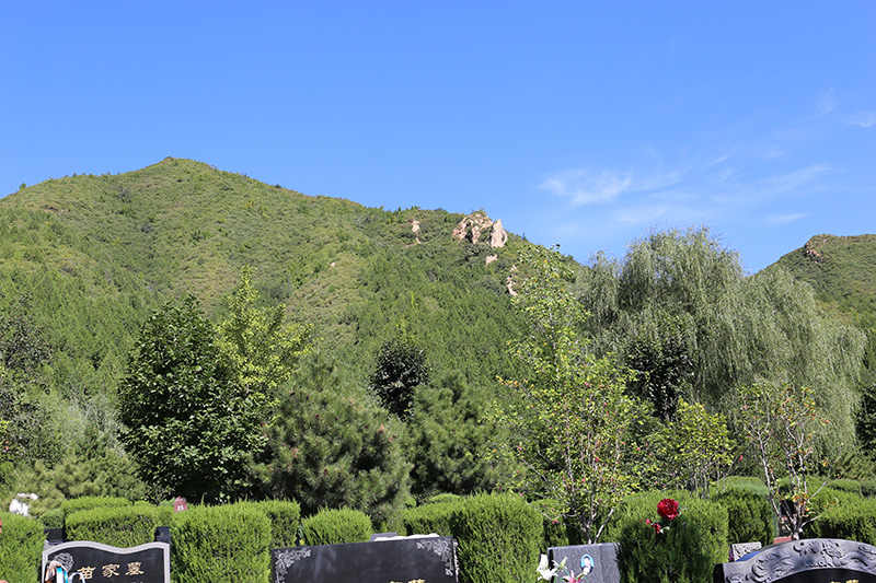天寿陵园墓区景观