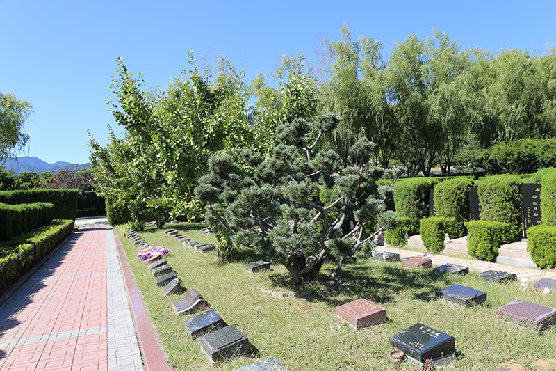 天寿园树葬景观
