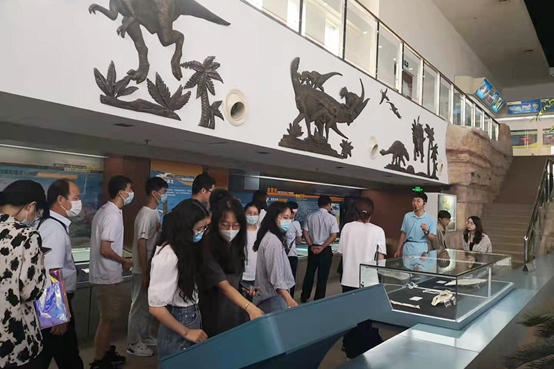 参观中国地质大学博物馆