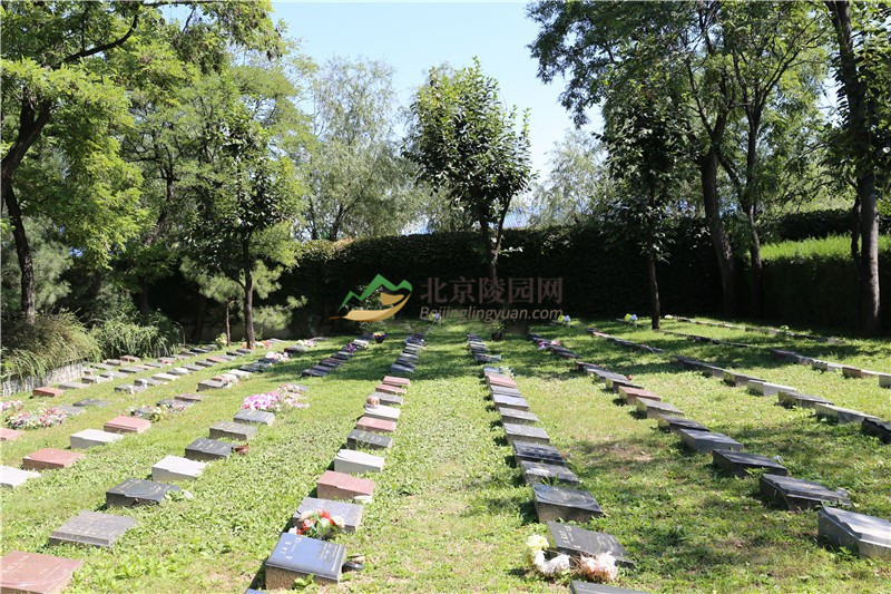 天寿陵园草坪葬