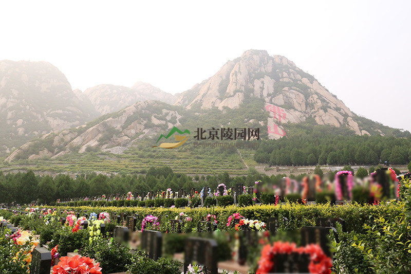 昌平佛山陵园二区业务室电话多少北京佛山公墓买墓地如何预约