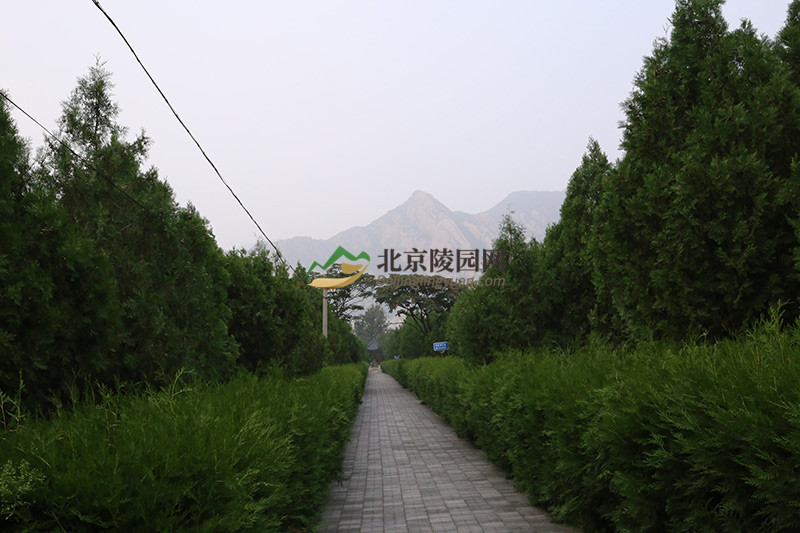 昌平佛山陵园二区业务室电话多少北京佛山公墓买墓地如何预约