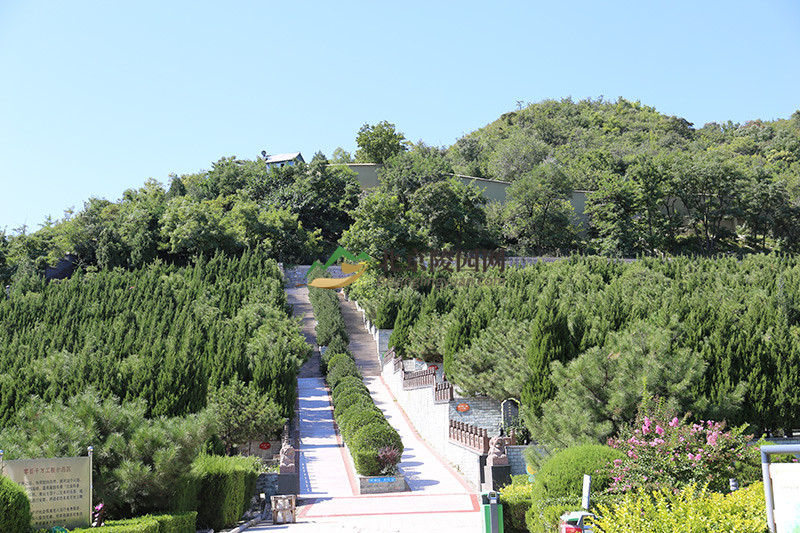 温泉墓园绿化景观