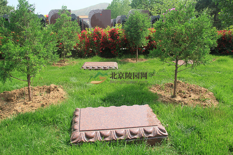三河灵泉公墓如意园树葬