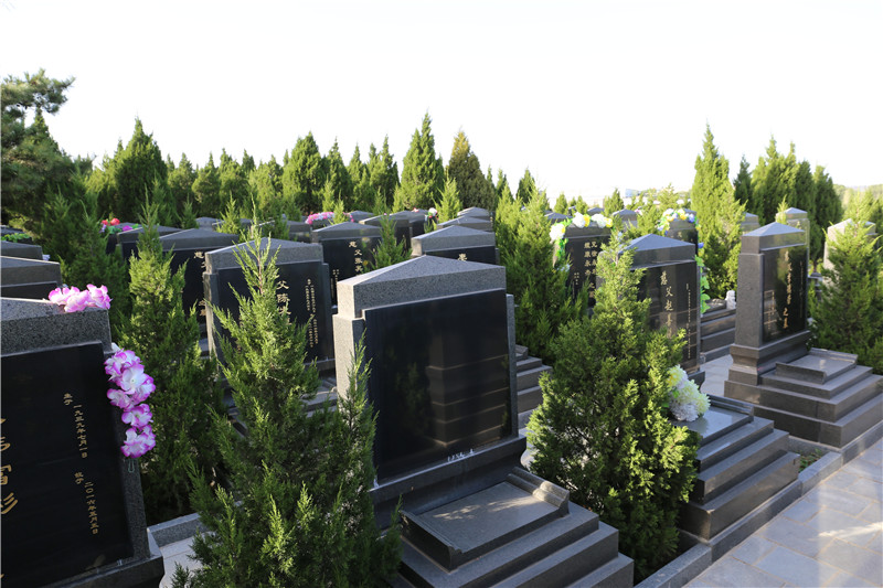 太子峪陵园墓区绿化