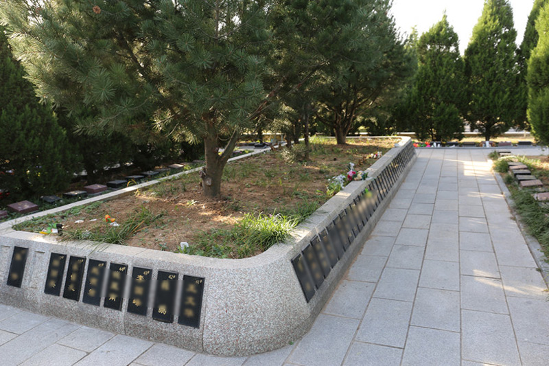 太子峪陵园树葬碑型展示