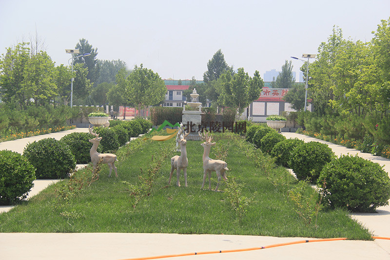 涿州万佛园公墓绿化景观