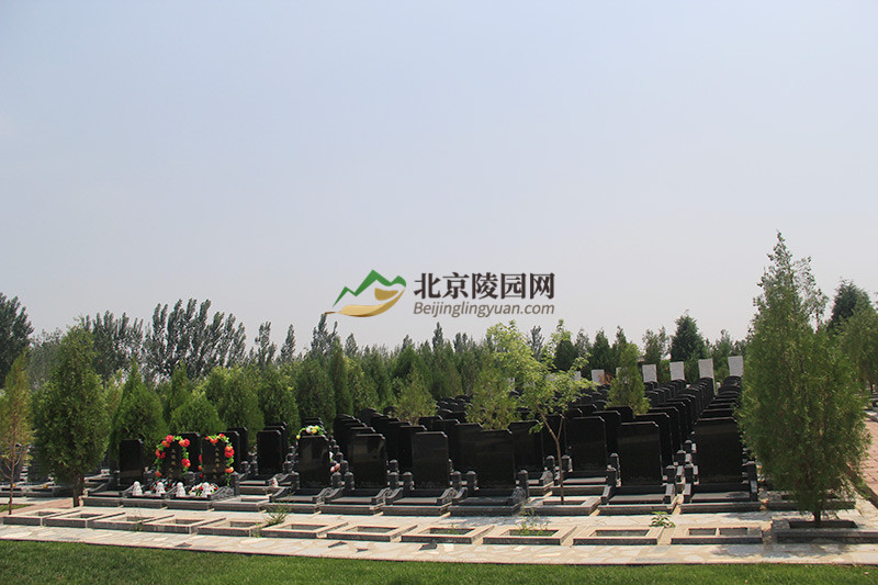 涿州万佛园公墓墓区景观