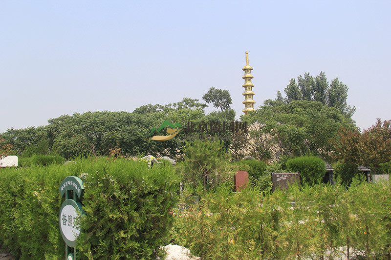 万佛园公墓墓区绿化景观