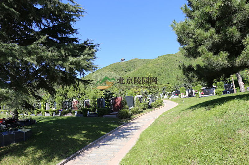 天寿陵园墓区绿化