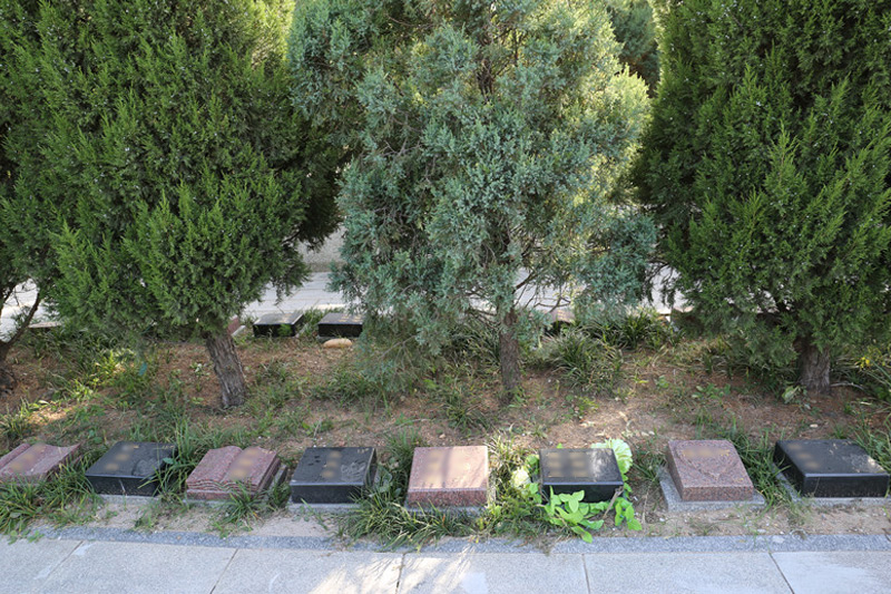 太子峪陵园树葬