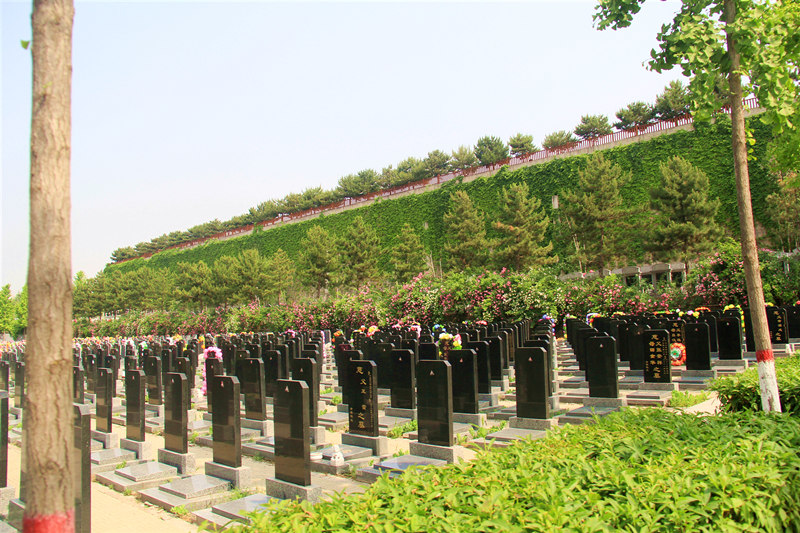 灵山宝塔陵园墓区景观