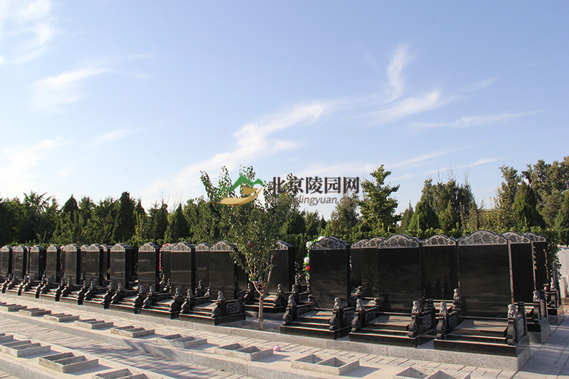 天慈公墓墓区景观