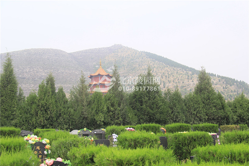 皇家龙山陵园墓区景观