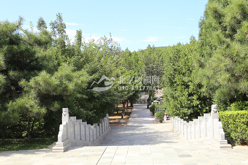 龙泉公墓墓区景观
